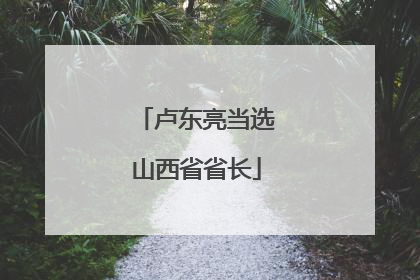 卢东亮当选山西省省长